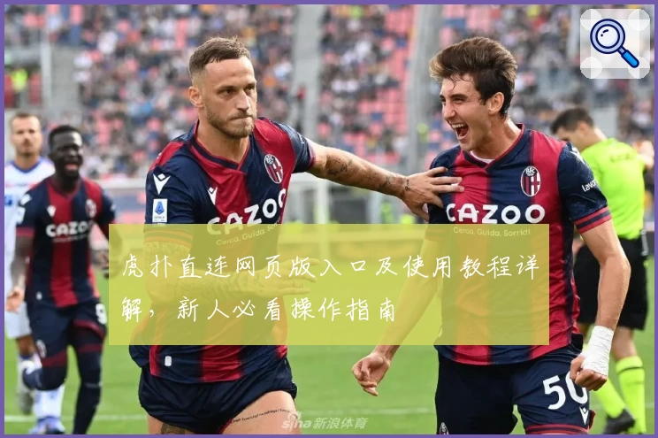 虎扑直连网页版入口及使用教程详解，新人必看操作指南